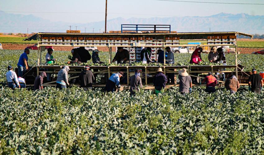 Imperial Irrigation District, 2022