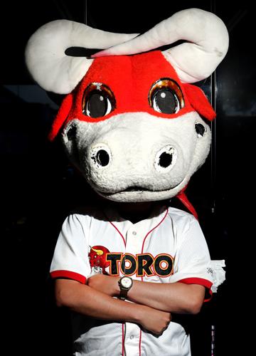 1970s Tuffy the Toro head at The Underestimated City