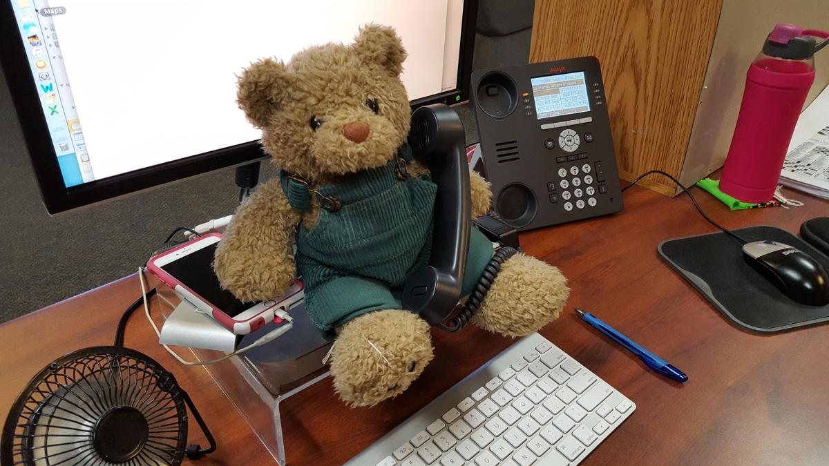 your teddy bear