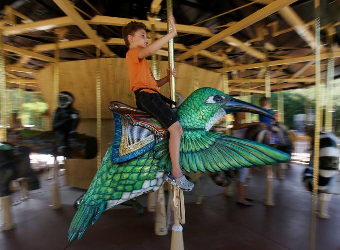 Reid Park Zoo carousel