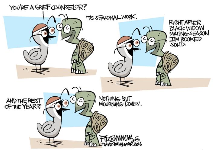 Last Laugh: Yoda the turtle