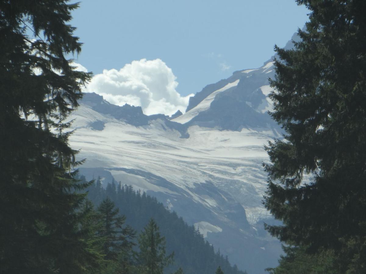 National Park Travel Photo Contest entries