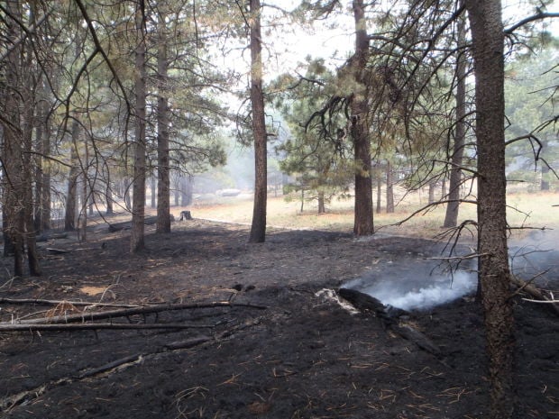 Second wildfire burning in Rincon Mountains