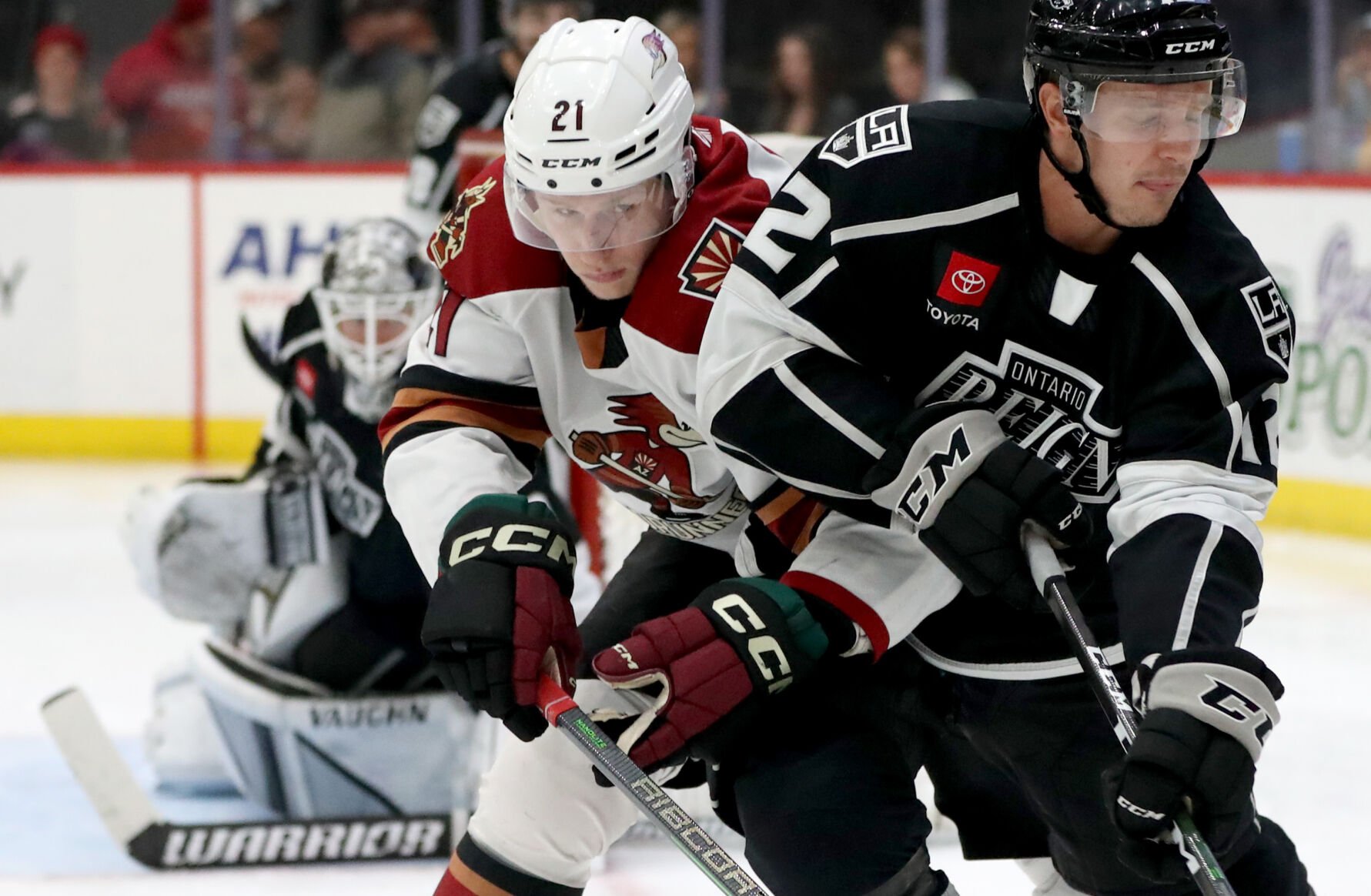 Roadrunners' Jan Jenik Doesn't Miss A Beat In Return To Lineup Just In ...