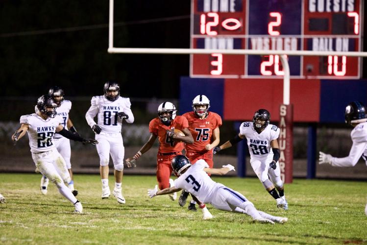 Rebecca Sasnett _1573875065.jpg