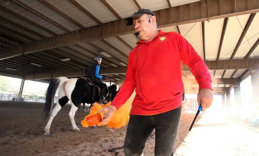 Desensitizing horses