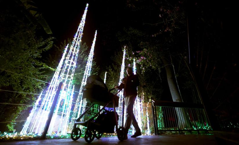 Zoo Lights: Holiday Magic