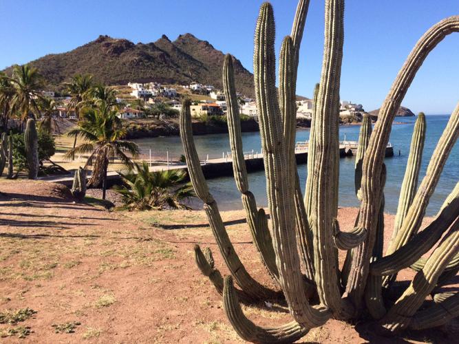 Guaymas and San Carlos, Mexico