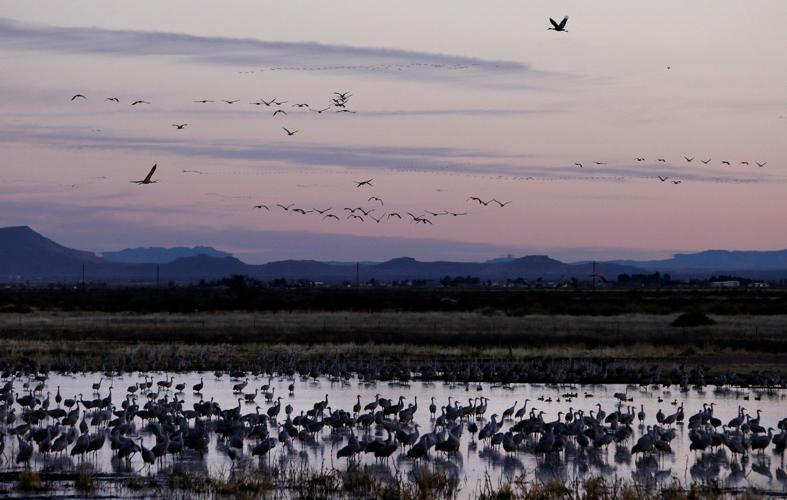 2017 Wings Over Willcox