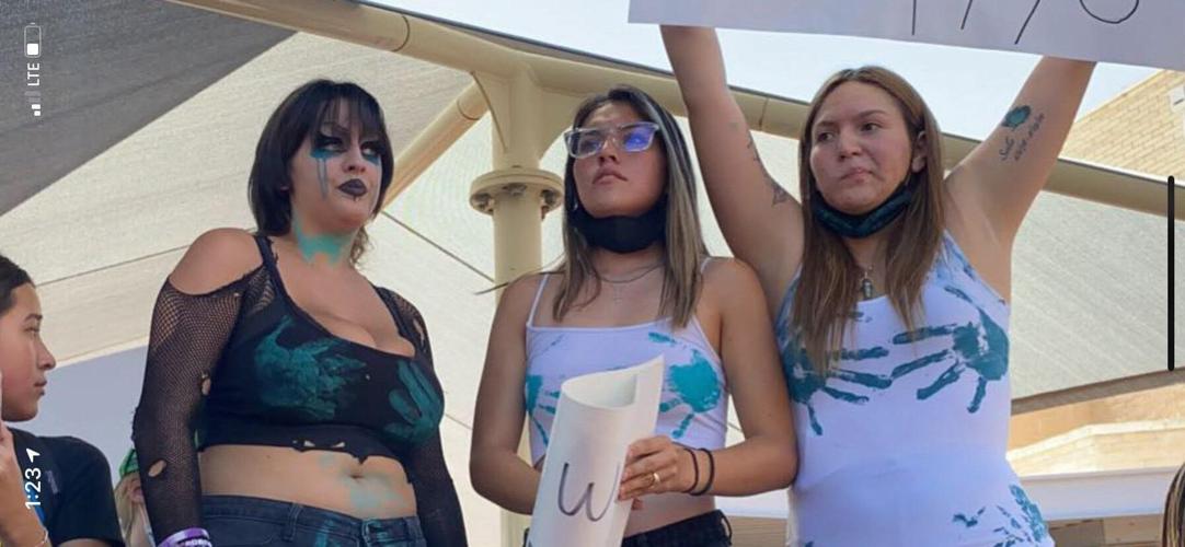 Mountain View protest 4