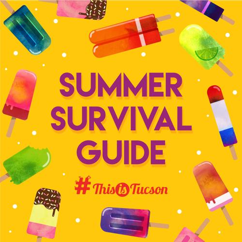 Summer Survival Guide logo