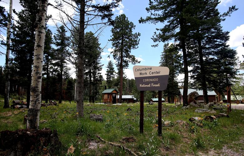 Frye Fire recovery on Mt. Graham