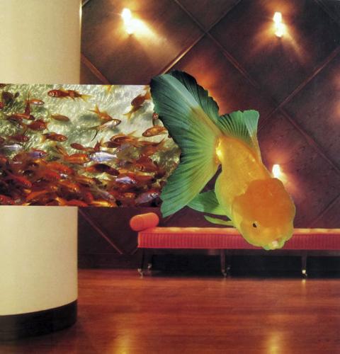 Collage exhibit at library to piece together arts ideas    