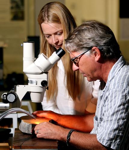 UA tree-ring research 2020