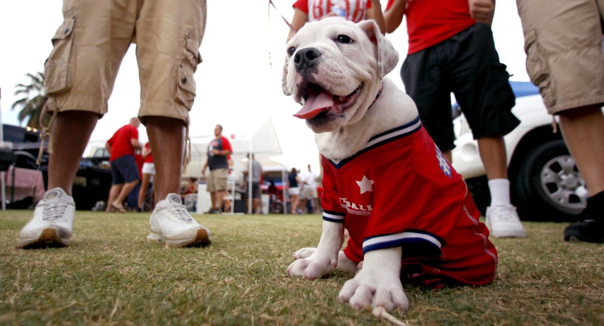 2022 Bark At The Park: Bring Your Dog To Texas Ranger's Globe Life Field  August 27