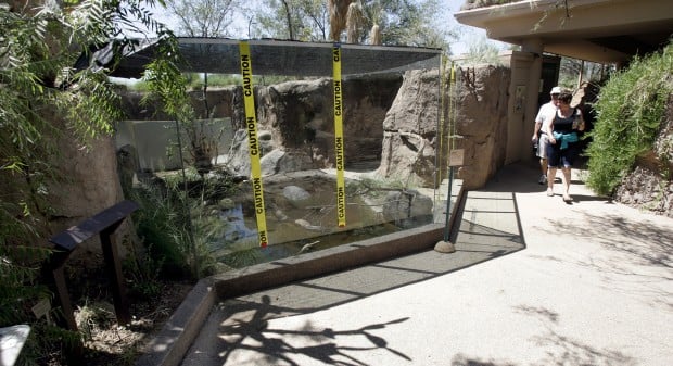 The Arizona-Sonora Desert Museum at 60 years old