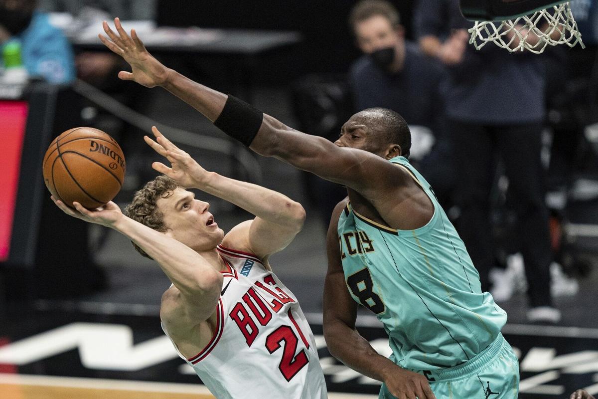 Bulls Hornets Basketball