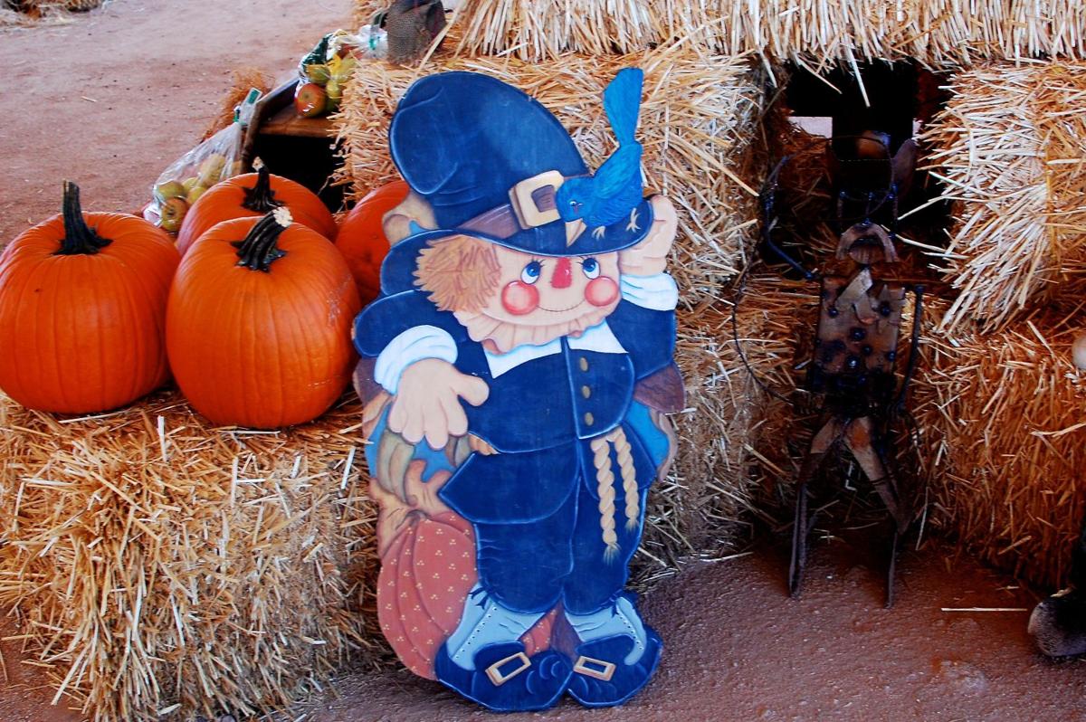 Autumn in Tucson Brian and Kelly's pumpkin patch Celebrate the