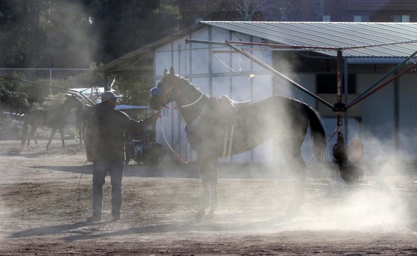 Horse racing returns to Rillito Park