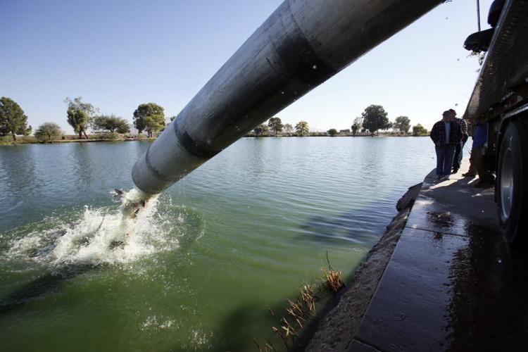 Stocking Fish at Silverbell Lake