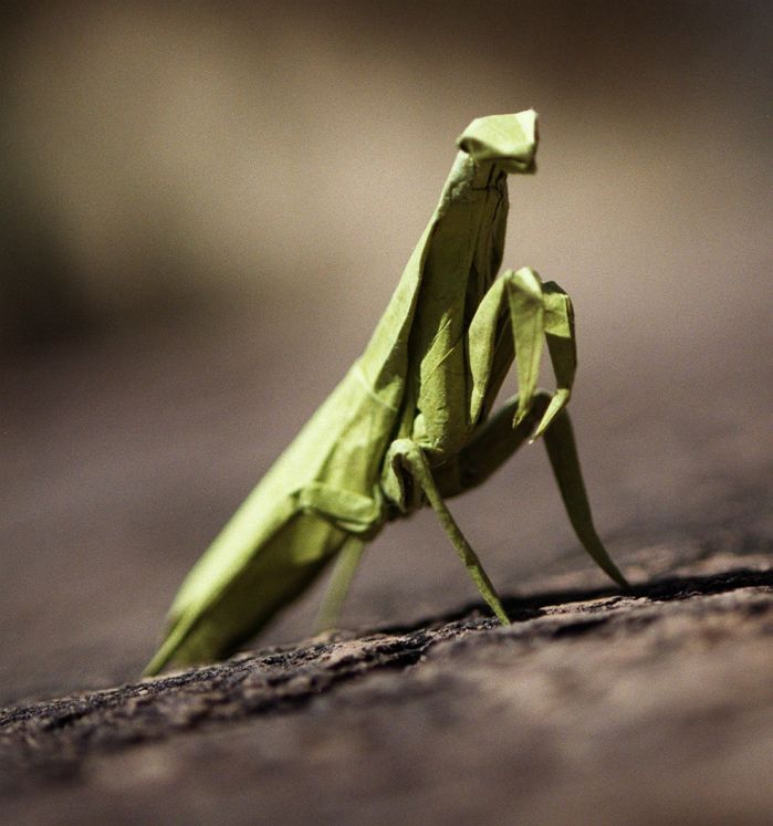 origami mantis bike