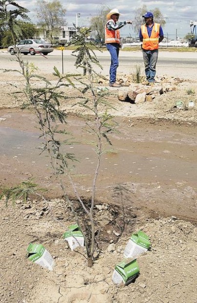 'Dry water,' 'harvesting' have city's eye  