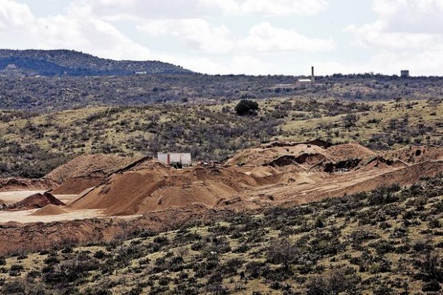 Tiny Mammoth has some big growth plans  