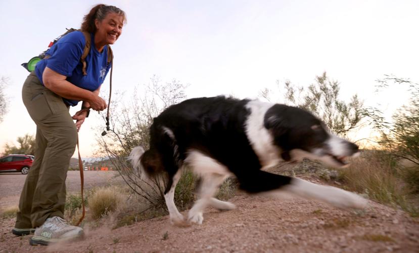Tucson volunteers train their dogs to be heroes