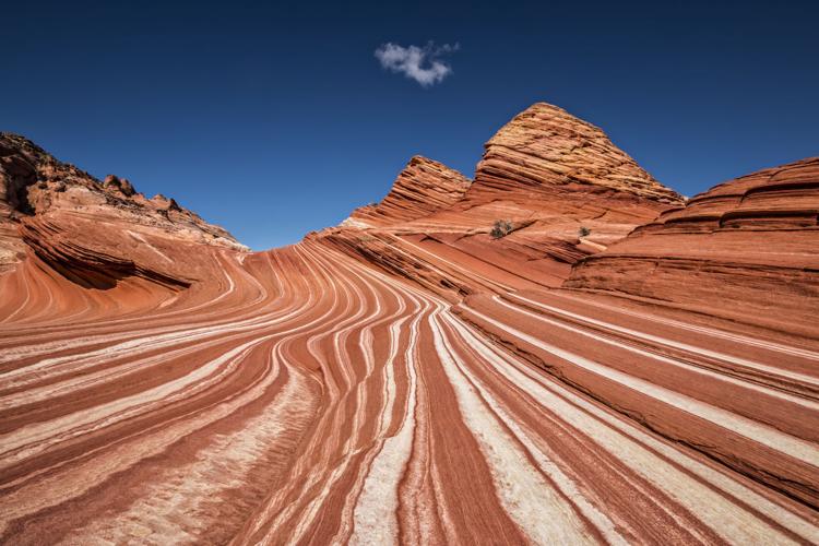 University of Arizona: The Art of Science