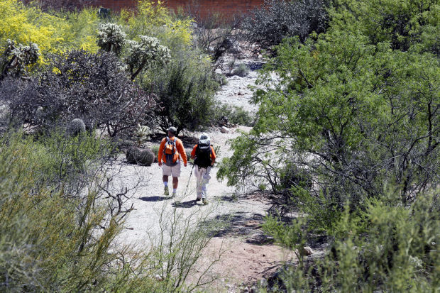 Search for Ann Pardo