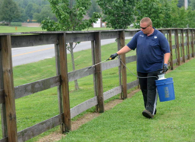 Treating fence