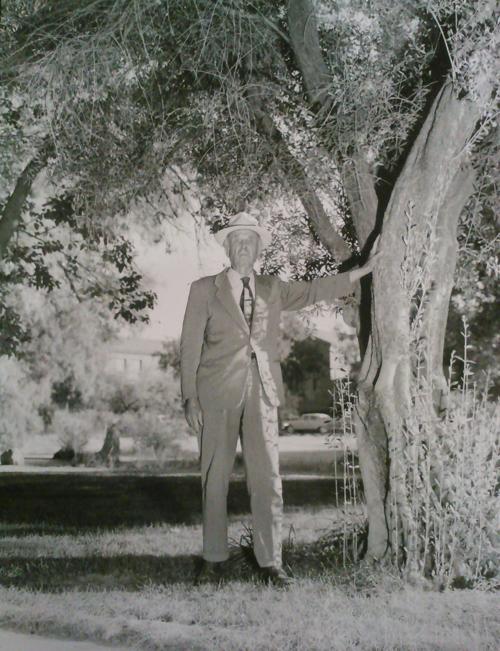 Street Smarts: Olive Road