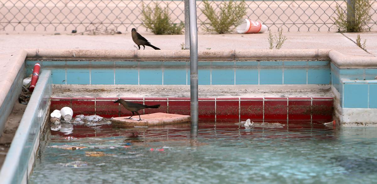 City has ideas to improve Kennedy Park, seeks input Government