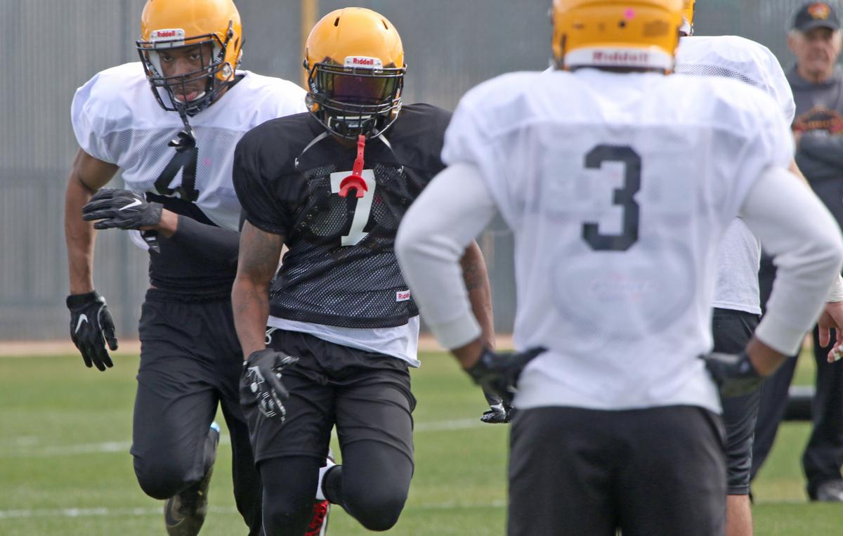 Sugar Skulls Football