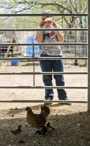 Ranch's many minis offer big-time fun    