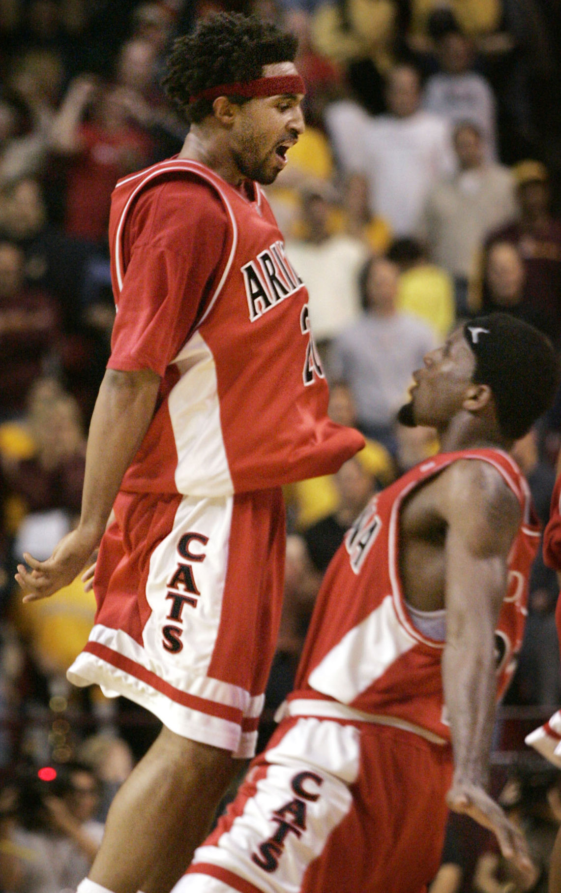 Salim Stoudamire