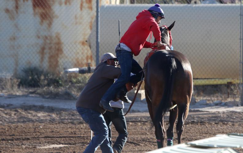 Horse racing returns to Rillito Park