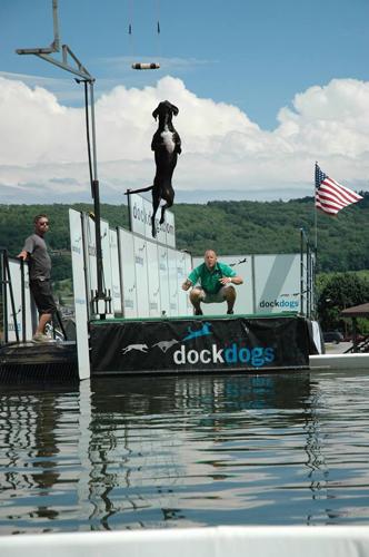 DockDogs2