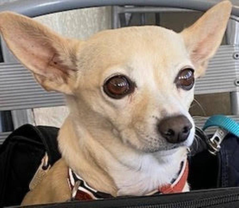 Where has All the Money Gone?