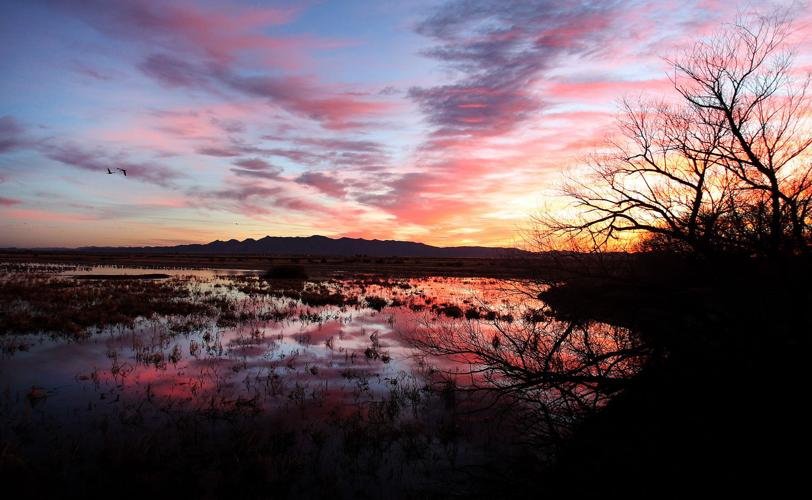 2017 Wings Over Willcox