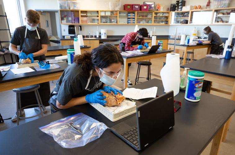 Catalina Foothills High School biology