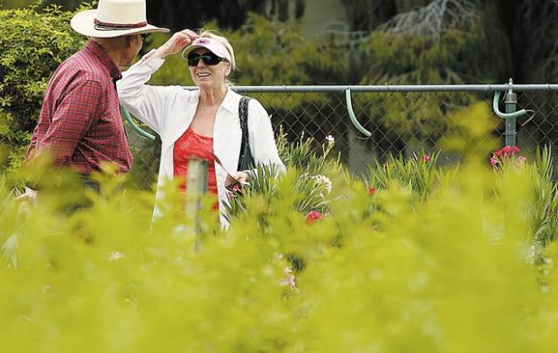 Longtime plant nursery is closing  