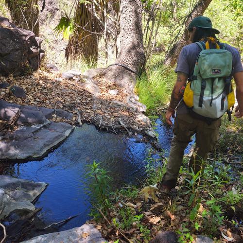 A New Stage for Spring Monitoring in APFF Bavispe
