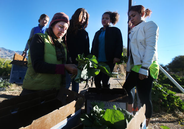 River Road Gardens at Tucson Waldorf School