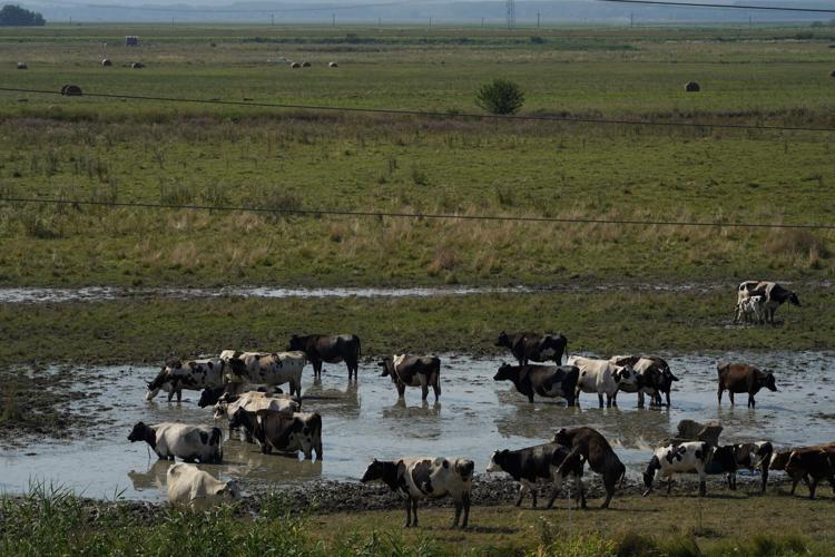 Heatwave in Romania