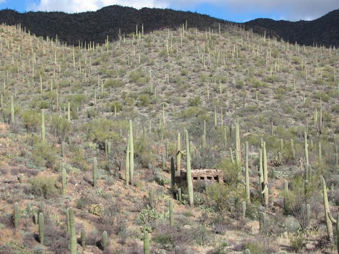 Stone-walled building