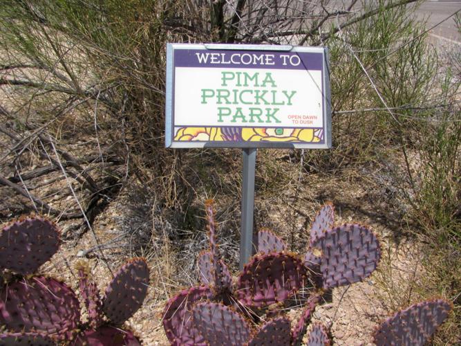Pima Prickly Park