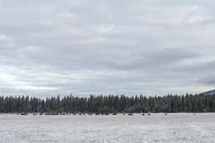 Buddy Cheff Ranch 11