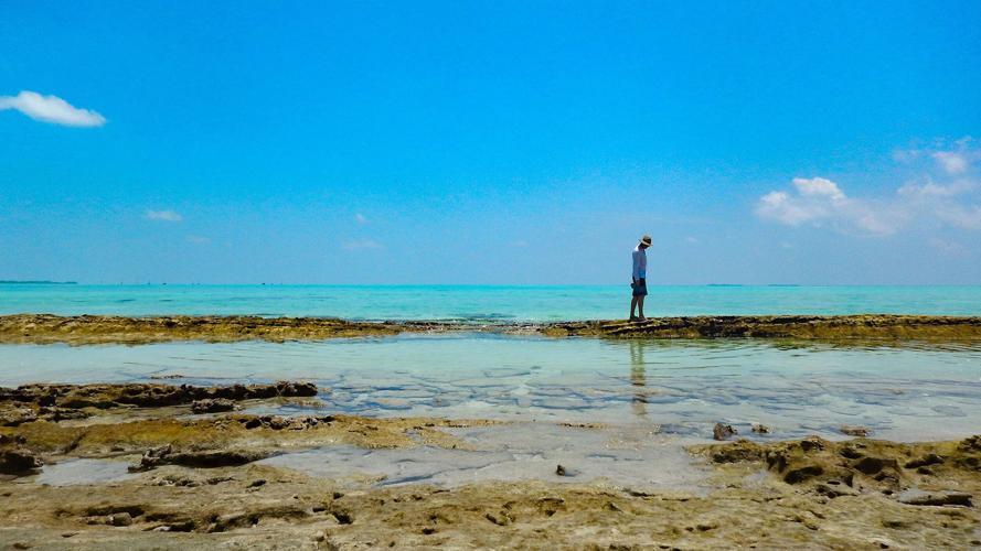 Leslie and Andrew Godfrey