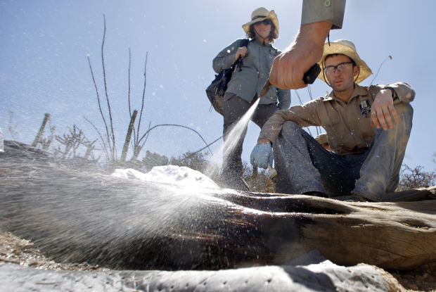 Douglas Spring Trail Clean-up